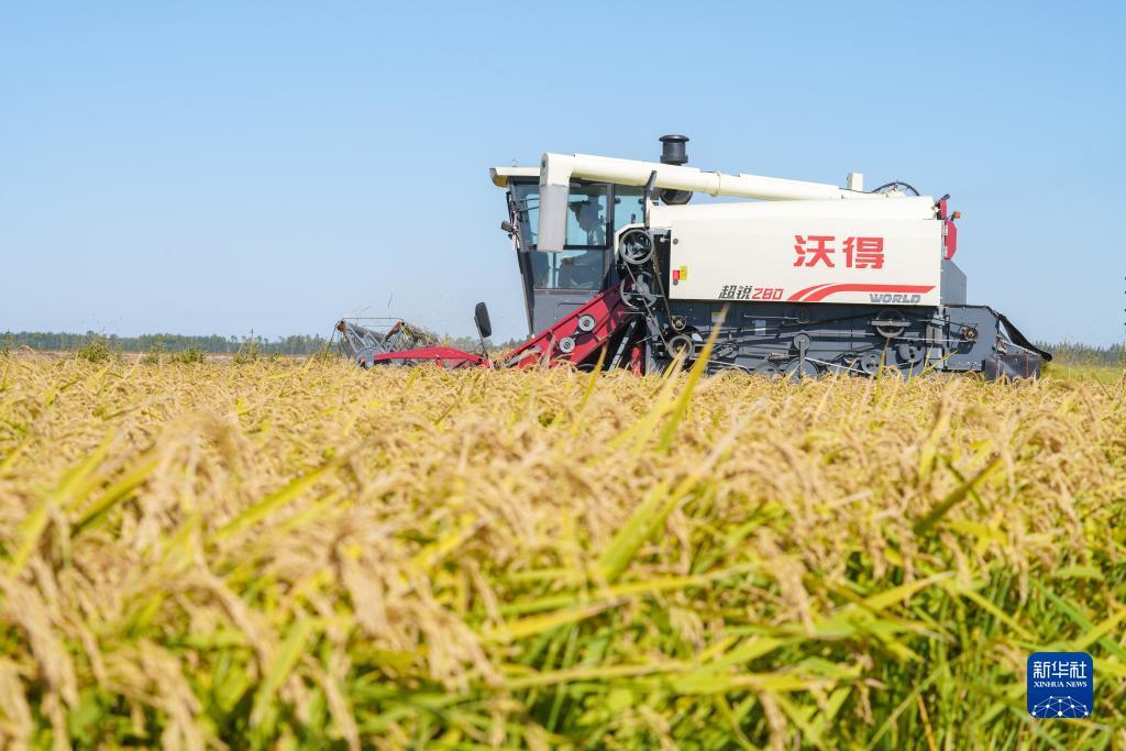 必赢电游娱乐官网